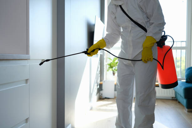 Best Residential Mold Remediation in Monticello, IL