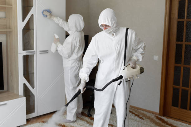 Best Residential Mold Remediation in Monticello, IL
