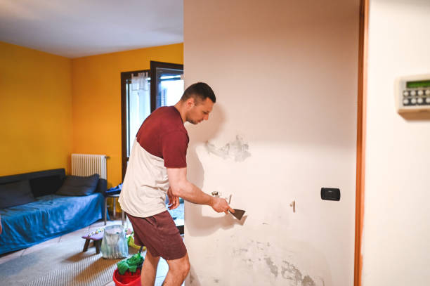 Best HVAC Mold Remediation in Monticello, IL